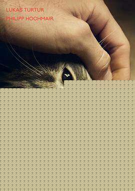 公猫