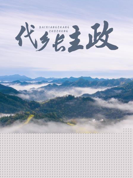 代乡长主政