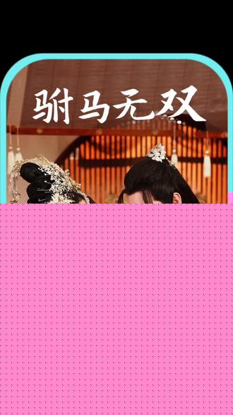 驸马无双