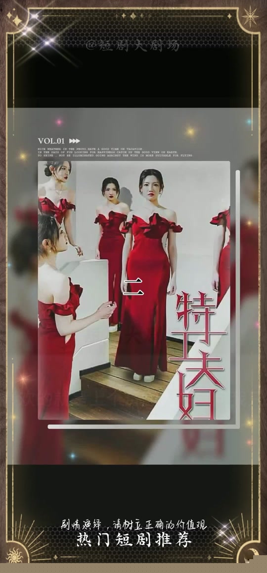 特工夫妇
