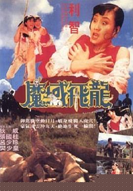 魔域飞龙