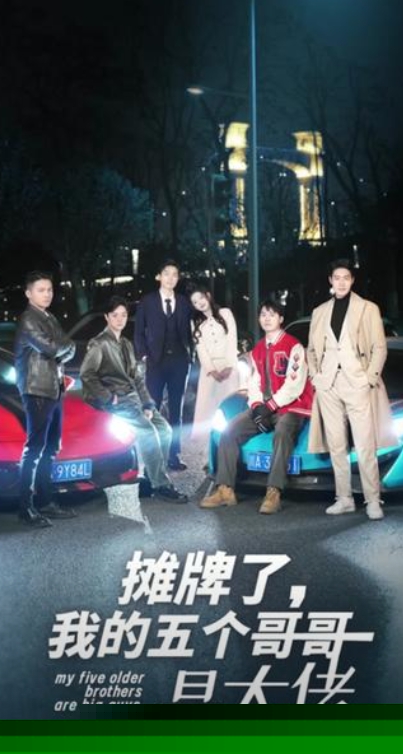 摊牌了我的五个哥哥是大佬