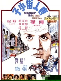唐人街功夫小子