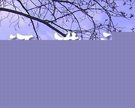 还珠记