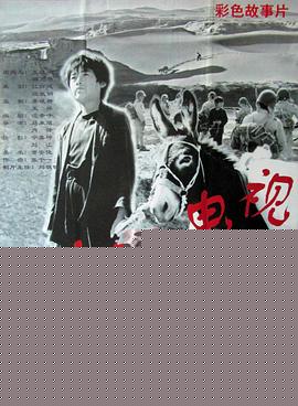驴嘎上电视