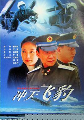 冲天飞豹