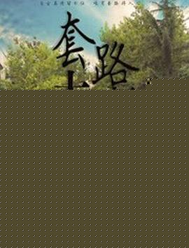 套路大师