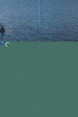 海热症