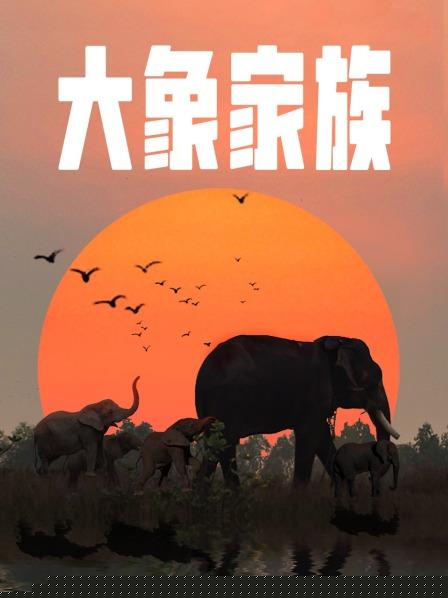 大象家族
