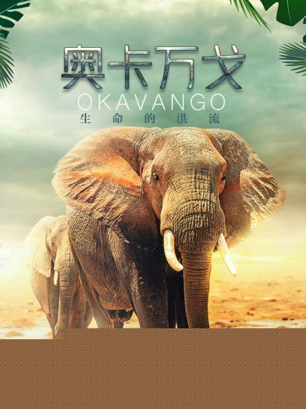 奥卡万戈：生命的洪流