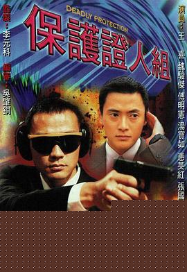 保护证人组粤语