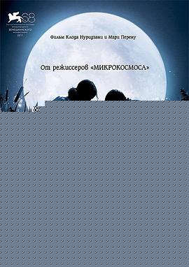 小宇宙3：自然奇观