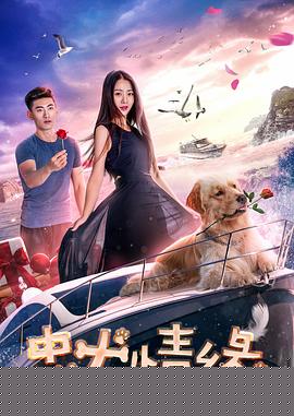 忠犬情缘