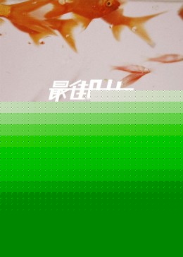 最佳时机