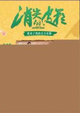 消失的皮箱