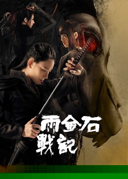 雨金石战记