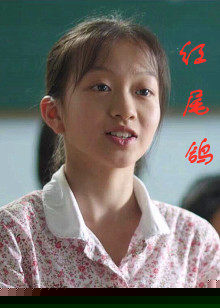 红尾鸽