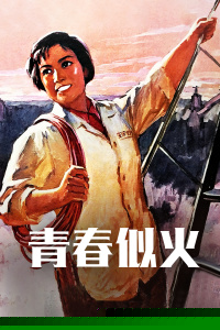 青春似火