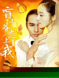 盲少爷恋上我
