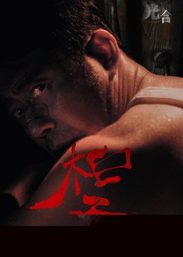 光合计划