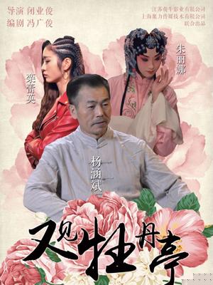 又见牡丹亭