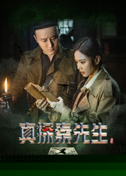 真探秦先生